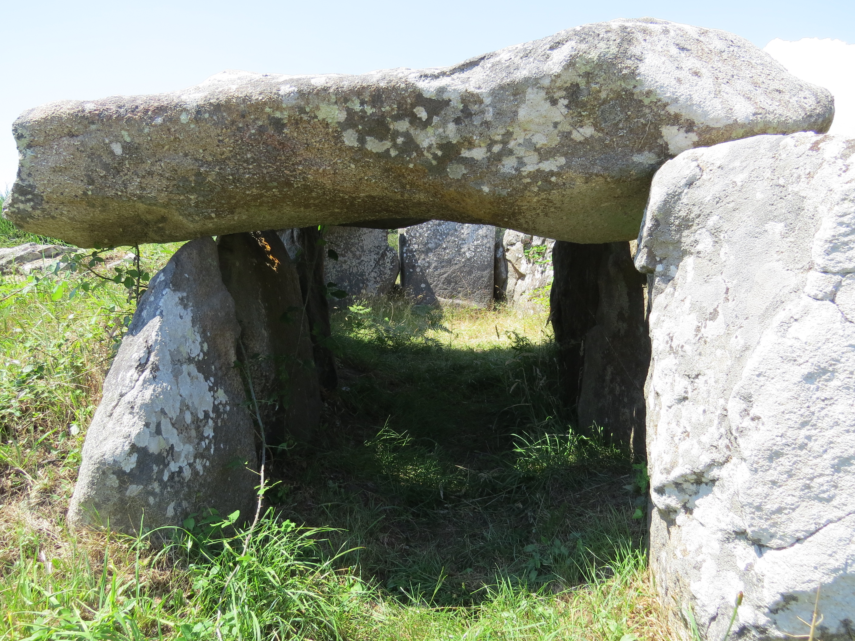 Photo n° 3 de l'avis de C..o fait le 13/08/2019 à 17:00