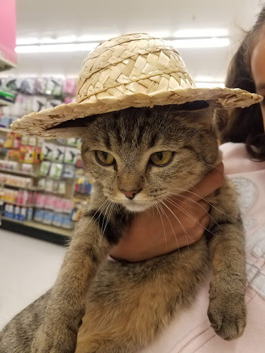 Craft Store «Hobby Lobby», reviews and photos, 14400 E Alameda Ave, Aurora, CO 80012, USA