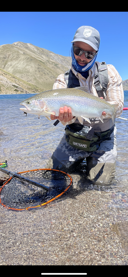 Andes Fly Cast