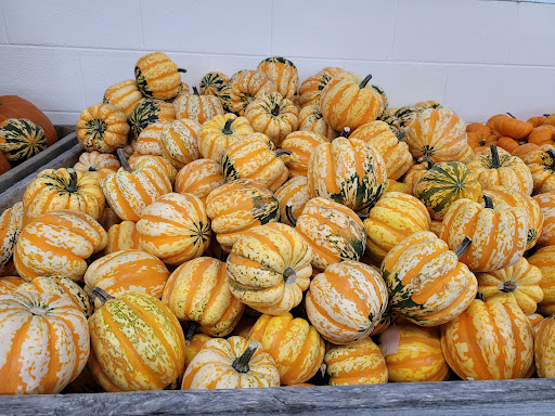 Produce Market «Barber Orchard Fruitstands Inc», reviews and photos, 2855 Old Balsam Rd, Waynesville, NC 28786, USA