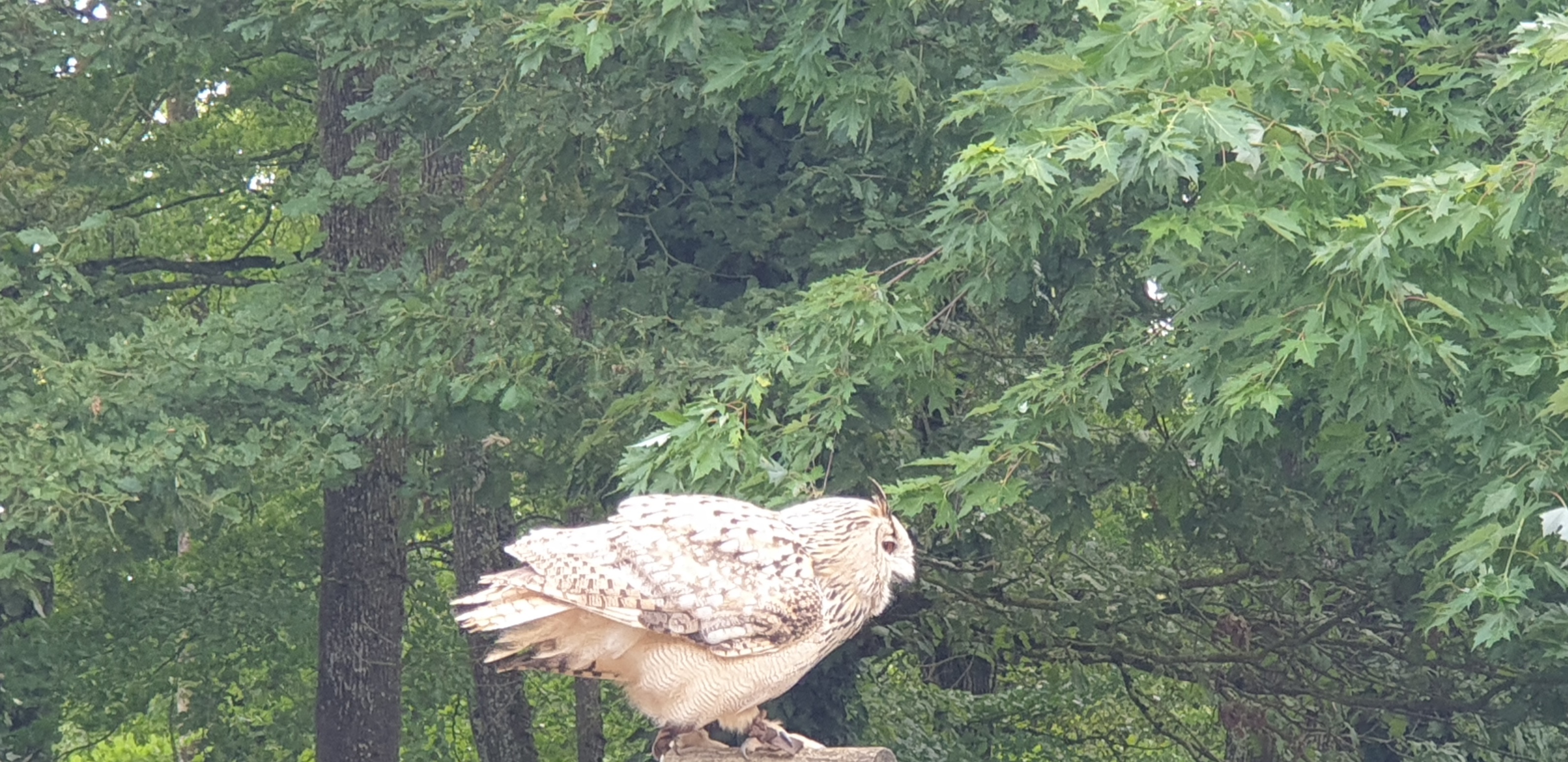 Photo n° 1 de l'avis de YetJ1402. fait le 16/07/2023 à 15:31