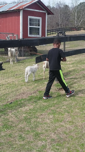 Wedding Venue «Rancho Alegre Farm», reviews and photos, 2225 Givens Rd, Dacula, GA 30019, USA