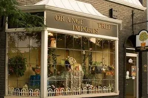 Orange Tree Imports image