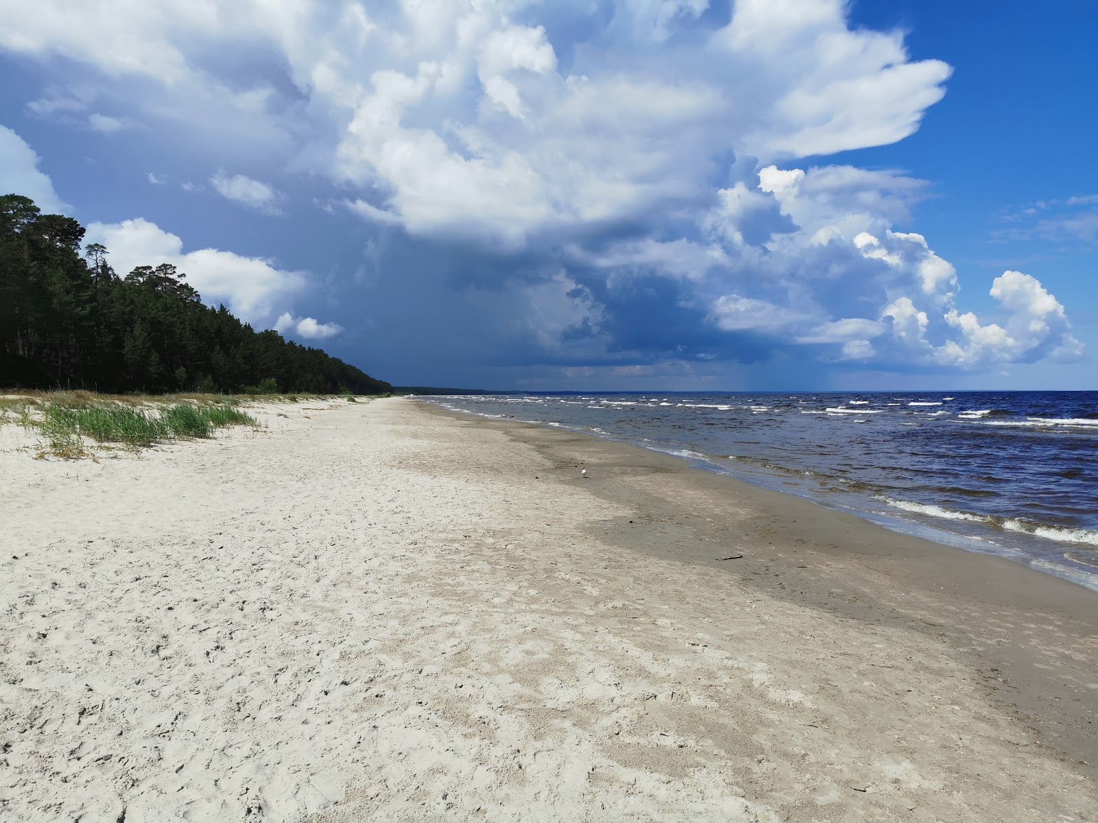 Gausa judze beach'in fotoğrafı vahşi alan