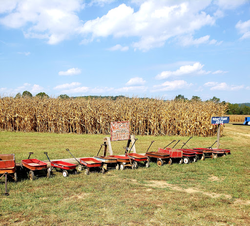 Miniature Golf Course «Christian Way Farm & Mini Golf», reviews and photos, 19590 Linville Rd, Hopkinsville, KY 42240, USA