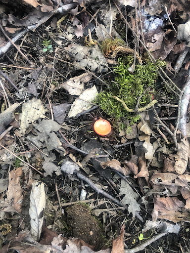 Roofing Contractor «Carlson Roofing Inc», reviews and photos, 550 SW Maple St, Hillsboro, OR 97123, USA