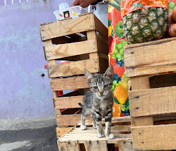 La Estación del jugo photo