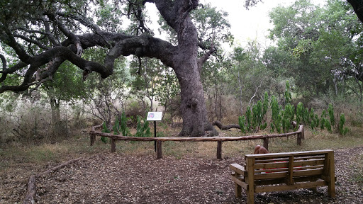Park «Phil Hardberger Park», reviews and photos, 13203 Blanco Rd, San Antonio, TX 78216, USA