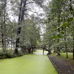 Photo n°1 de l'avis de Kirsten.e fait le 17/10/2023 à 10:19 sur le  Hotel Radduscher Hafen à Vetschau