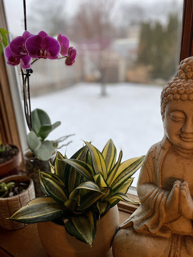 Flowers By Diane, 109 2nd St, Hoboken, NJ 07030, USA, 