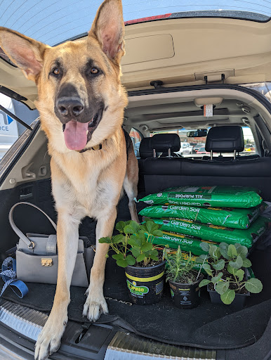 Home Improvement Store «The Home Depot», reviews and photos, 1920 Wentzville Pkwy, Wentzville, MO 63385, USA
