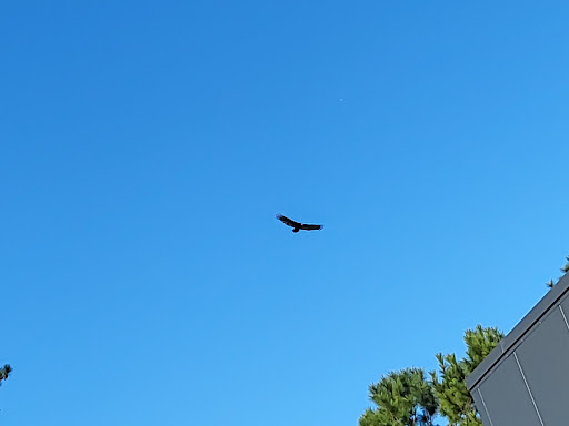 Air Conditioning Repair Service «R.J. Kielty Plumbing, Heating and Cooling, Inc.», reviews and photos, 9507 FL-52, Hudson, FL 34669, USA