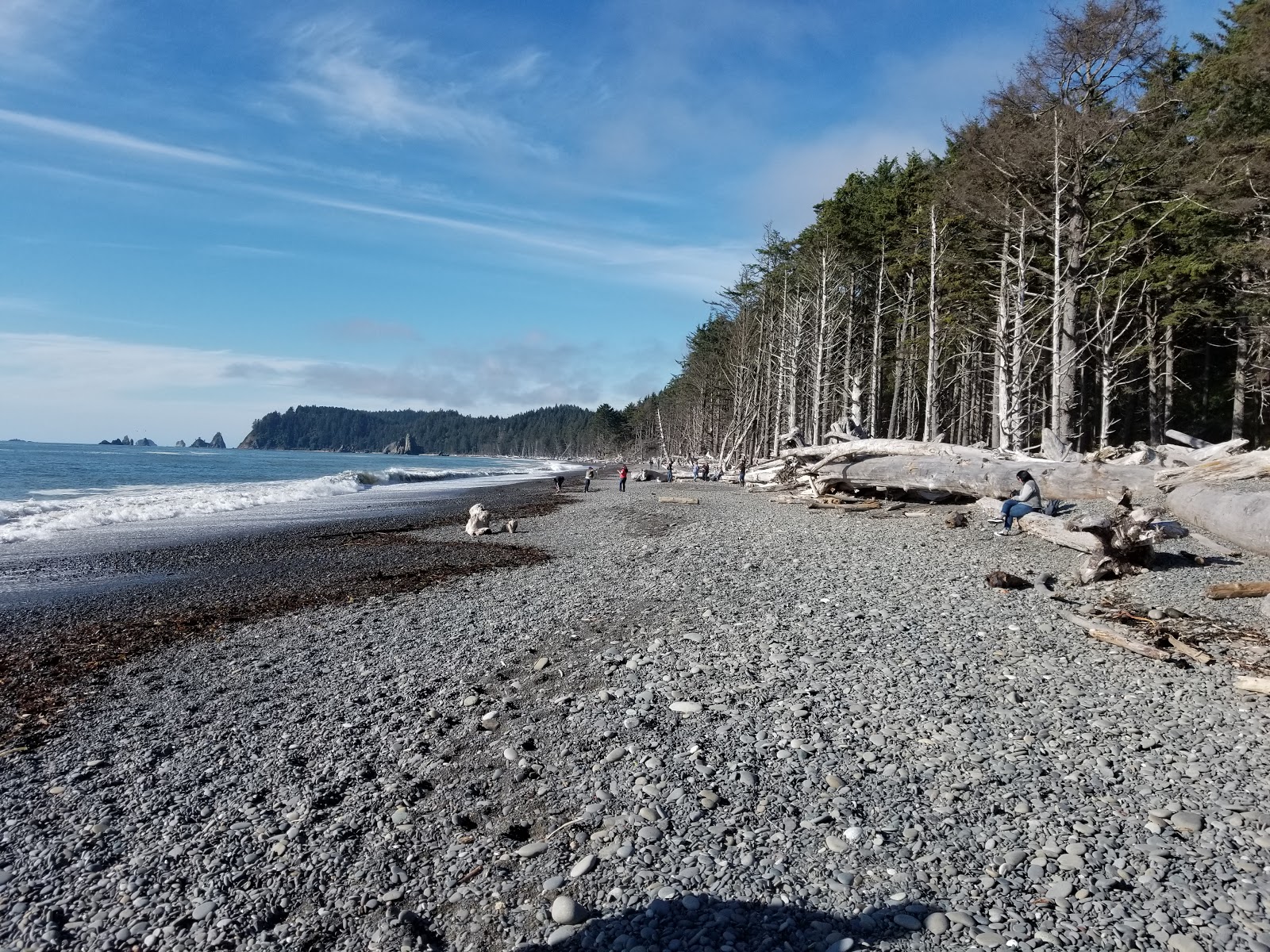 Foto de Rialto Beach rodeado por montanhas