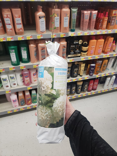 Department Store «Walmart Supercenter», reviews and photos, 1618 W McClain Ave, Scottsburg, IN 47170, USA