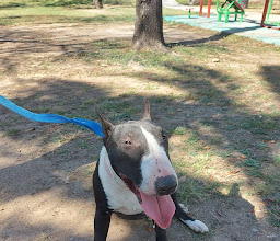 Parque Vista Hermosa photo