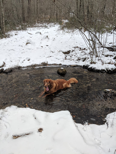 Connecticut Garnet Trail