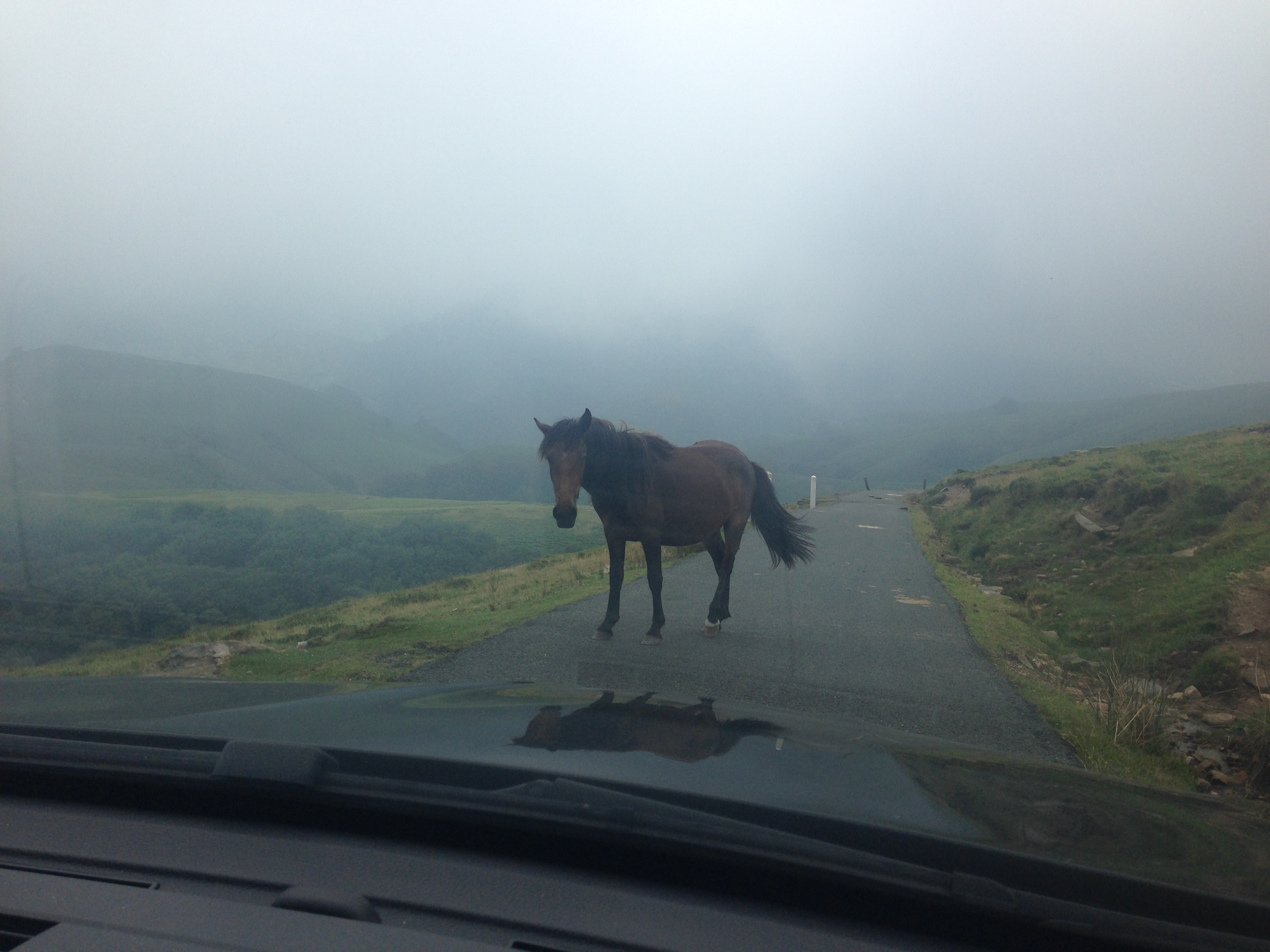 Photo n° 2 de l'avis de Vero.. fait le 15/08/2018 à 09:09