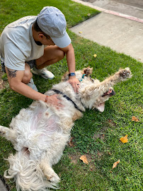 Barks & Buns - Photo 6 - Car repair in , Daly City