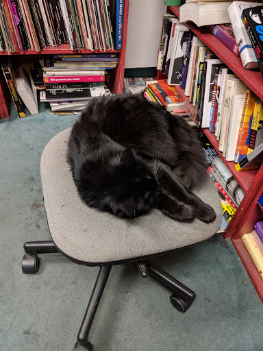 Used Book Store «Recycle Bookstore», reviews and photos, 1066 The Alameda, San Jose, CA 95126, USA