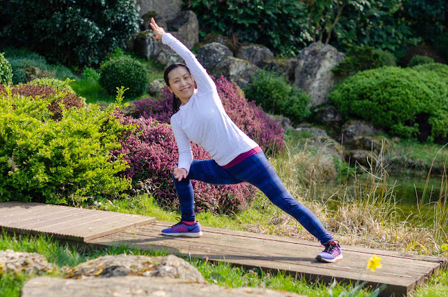 Yoga Lily | Yoga TaiChi Qigong Wellness - Yoga studio