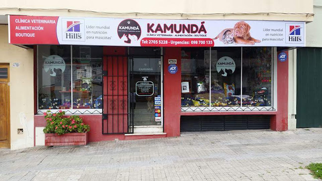 Opiniones de Veterinaria Kamunda en Montevideo - Veterinario