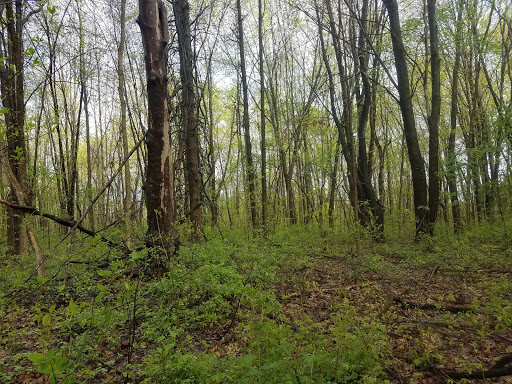 Golf Course «Riverview Golf Course», reviews and photos, 3903 OH-82, Newton Falls, OH 44444, USA