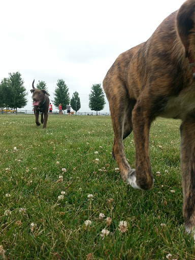 Dog Park «Daisy Dog Park», reviews and photos, 13214 Blakely Dr, Plainfield, IL 60585, USA