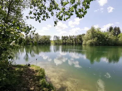 Domaine de la maveline à Gevrolles