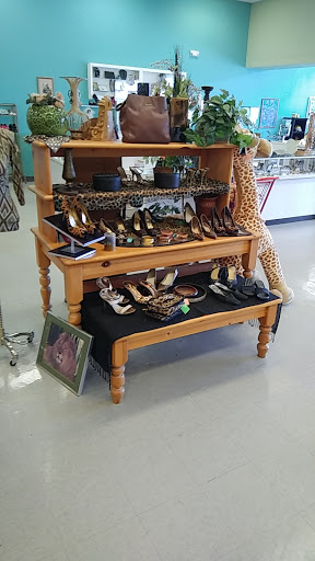 Thrift Store «Humane Society Thrift Store», reviews and photos, 4445 20th St, Vero Beach, FL 32966, USA