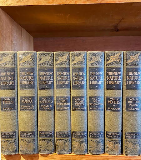 Book Store «Caliban Book Shop», reviews and photos, 410 S Craig St, Pittsburgh, PA 15213, USA