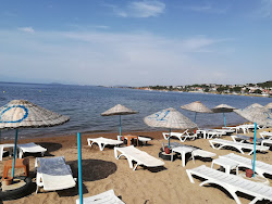 Foto von Ayvalik Igdeli beach mit sehr sauber Sauberkeitsgrad