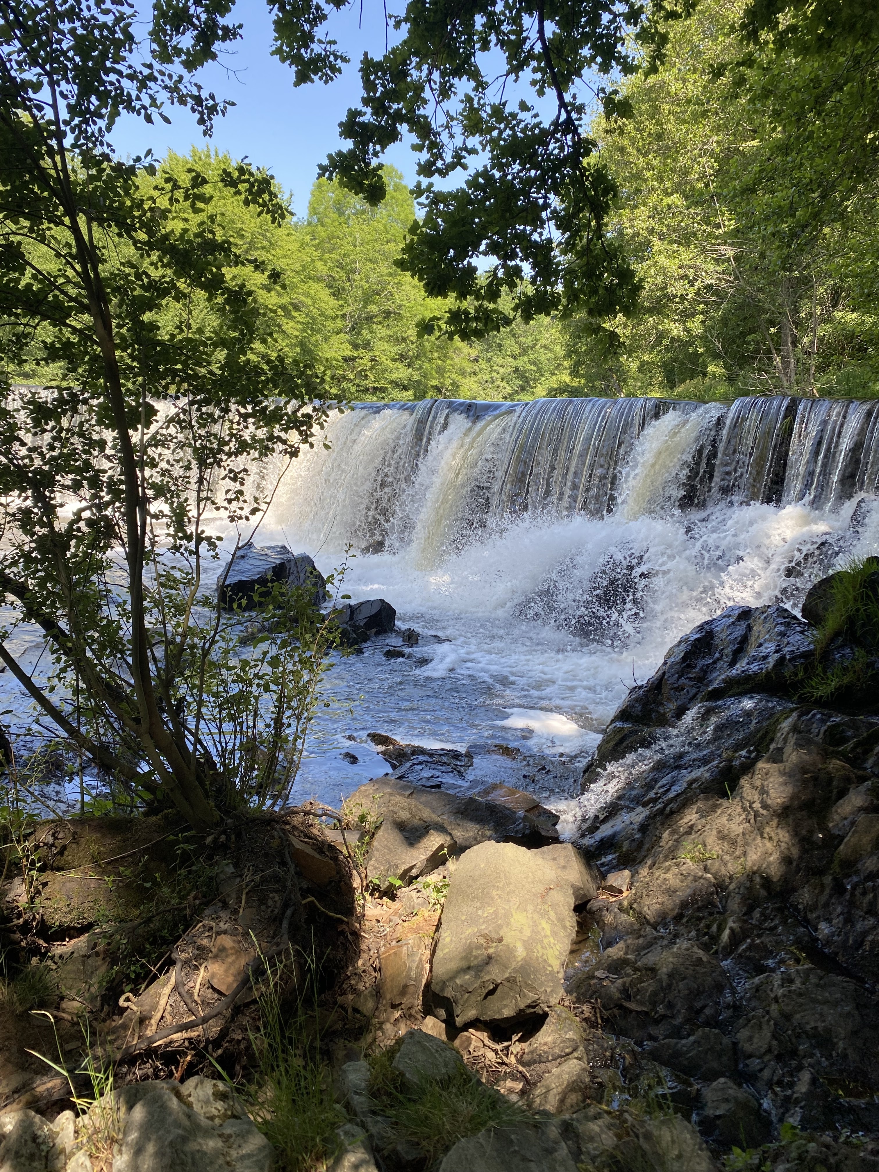 Photo n° 1 de l'avis de Caro. fait le 10/06/2023 à 15:52