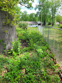 Cox Lawn Care - Photo 8 - Car repair in , St Louis