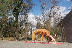Himalayan yoga image