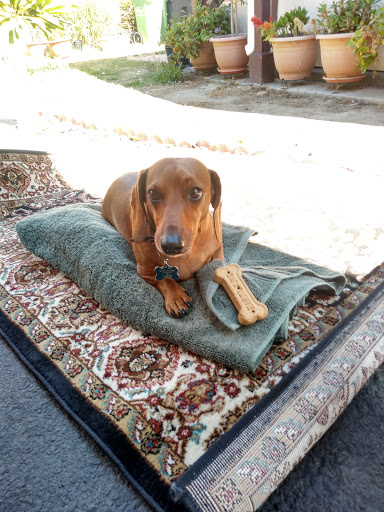 Social Security Attorney «Law Offices of Dr. Bill LaTour», reviews and photos