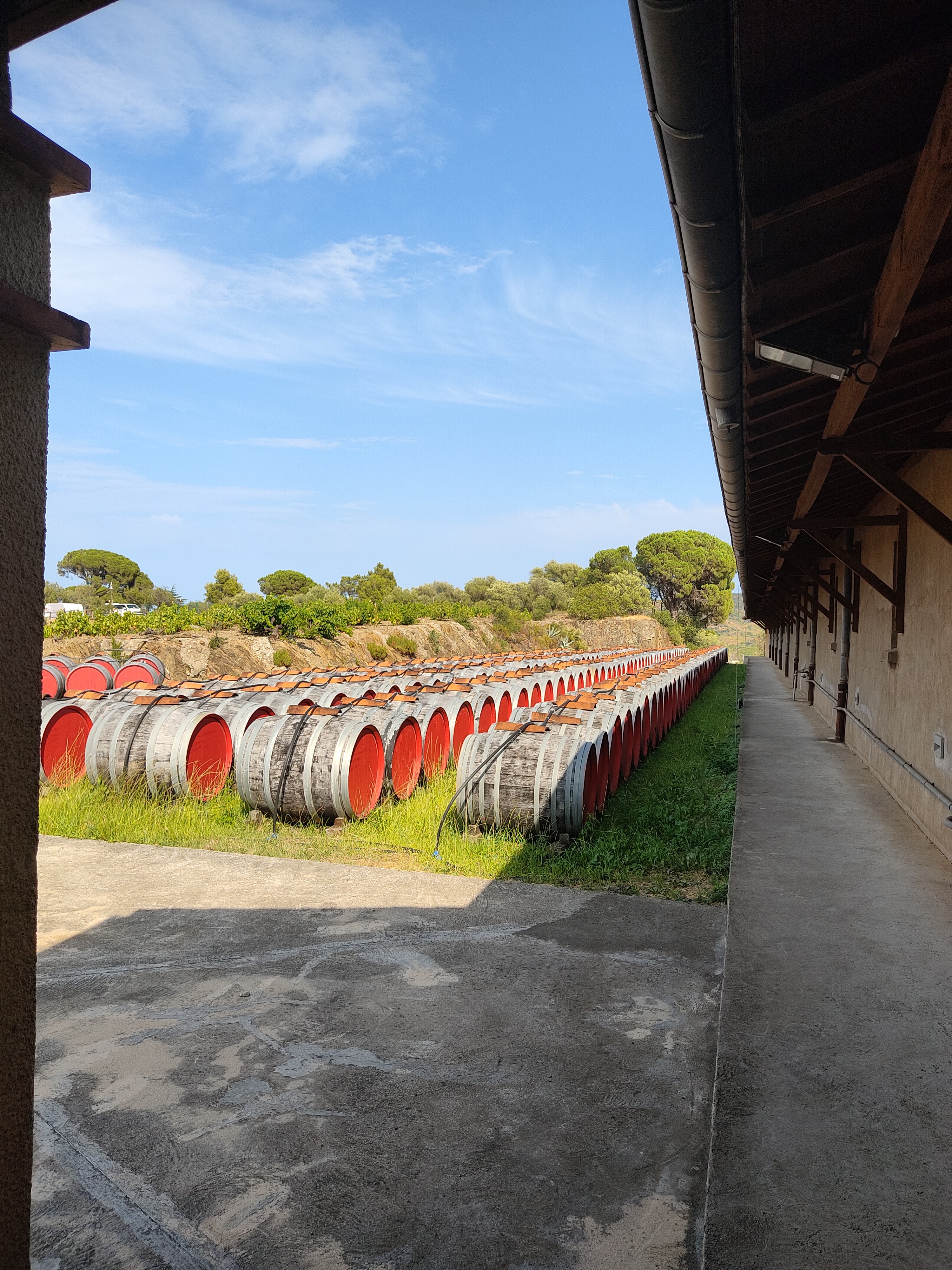 Photo n° 2 de l'avis de Véronique.o fait le 25/07/2022 à 17:55