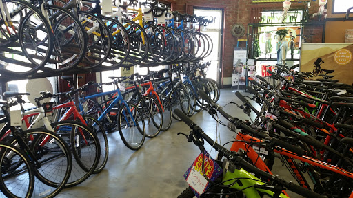 Bicycle rental service Glendale