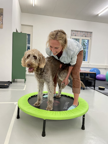 Kommentare und Rezensionen über Friederike Hornung Physiotherapie für Hunde