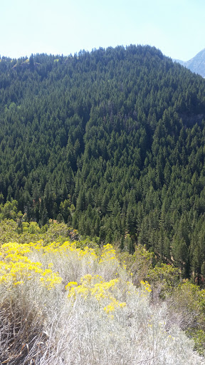 Used Car Dealer «Berge Auto», reviews and photos, 199 800 N, Orem, UT 84057, USA