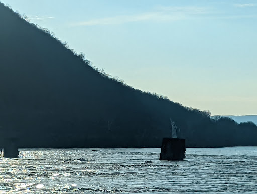 Tourist Attraction «Dauphin Narrows Statue Of Liberty», reviews and photos, US-22, Dauphin, PA 17018, USA