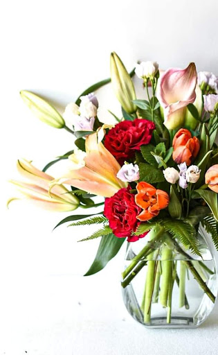 Florist «Mia fiori», reviews and photos, 5840 Legacy Cir D165, Plano, TX 75024, USA