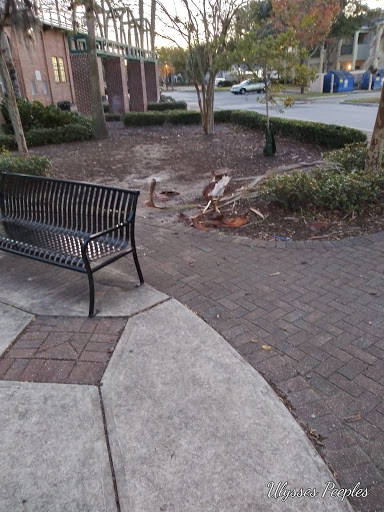 Baseball Field «James P. Small Park», reviews and photos, 1701 Myrtle Ave N, Jacksonville, FL 32209, USA