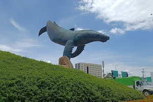 Vallarta Whale image