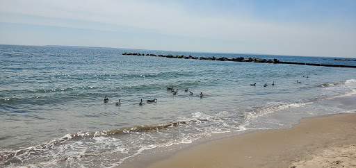 Park «Asser Levy Park», reviews and photos, 302 Sea Breeze Ave, Brooklyn, NY 11224, USA