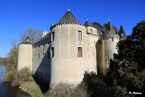 Château de la Guerche image