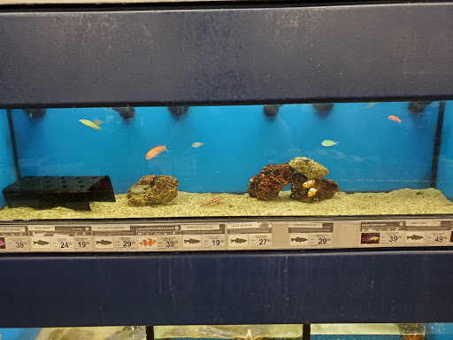 Pet Supply Store «Petco», reviews and photos, 348 IL-59, Naperville, IL 60540, USA