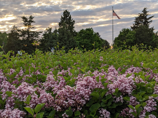 Park «Victory Memorial Parkway», reviews and photos, 4499 Victory Memorial Dr, Minneapolis, MN 55412, USA