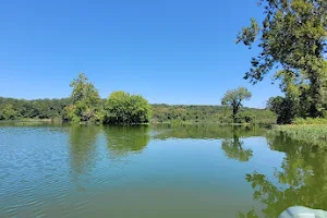 Siloam Springs Lake image