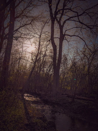 Nature Preserve «Buffalo Creek Forest Preserve», reviews and photos, 18163 W Checker Rd, Long Grove, IL 60047, USA