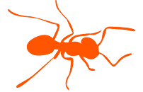 Get Smart Rat Solutions - Photo 6 - Car repair in Ridgefield, WA, Vancouver